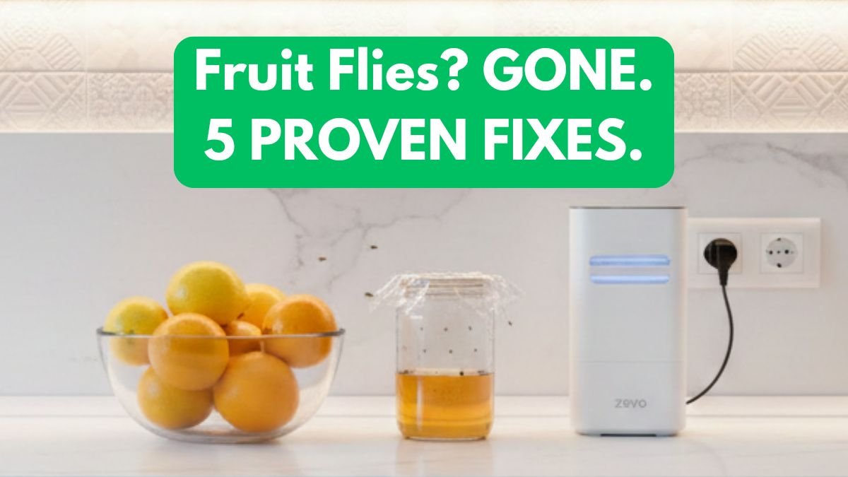 How to get rid of fruit flies in kitchen using DIY traps and UV light devices.